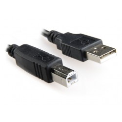 Kabel USB Am-Bm 2.0 +FERRYT 4.5m Gembird