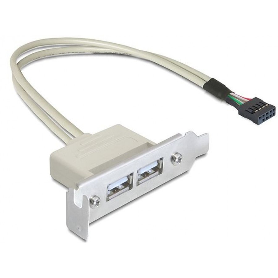 Gniazdo USB 2.0 2x Na Śledziu Low Profile Delock