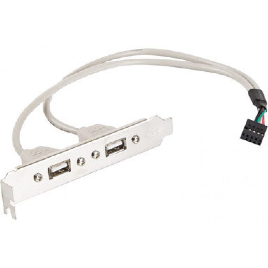 Gniazdo Na Śledziu Lanberg Br-0005-S 2x USB 2.0 30cm