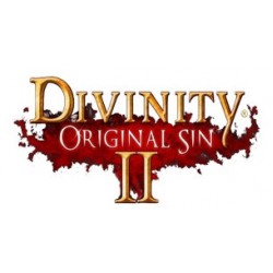 Gra Divinity Original Sin 2 Definitive Edition PS4