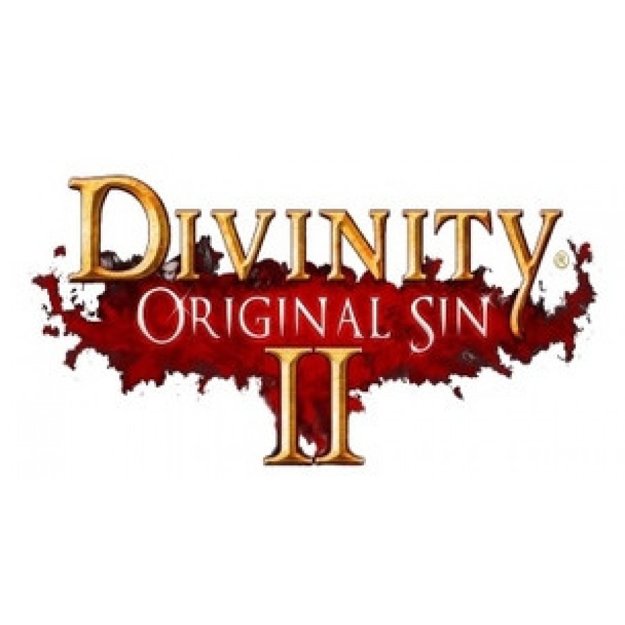 Gra Divinity Original Sin 2 Definitive Edition PS4