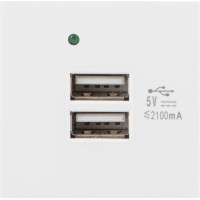 Gniazdo 45x45 230V Ładowarka 2xUSB 2.1A Białe Lanberg