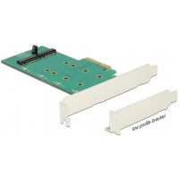 Karta PCI Express->2x M.2 Key B Raid + Śledź Low Profile Delock