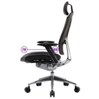 Fotel Ergonomiczny Cooler Master Ergo L Czarno-Srebrny