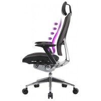 Fotel Ergonomiczny Cooler Master Ergo L Czarno-Srebrny