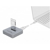 Stacja Dokująca M.2 Nvme SSD -> USB-C 3.2(F) Szara Delock