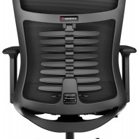 Fotel Ergonomiczny Genesis Astat 200 Czarny