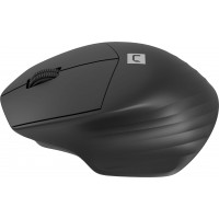 Mysz Natec Siskin 2 Bezprzewodowa 1600DPI Bluetooth 5.0 + 2.4ghz Czarna