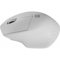 Mysz Natec Siskin 2 Bezprzewodowa 1600DPI Bluetooth 5.0 + 2.4ghz Biała